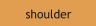 shoulder