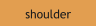 shoulder