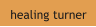 healing turner