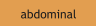 abdominal